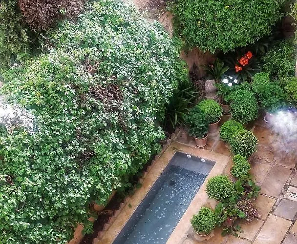 Casa Del Aljibe Gospodarstwo wiejskie Grenada